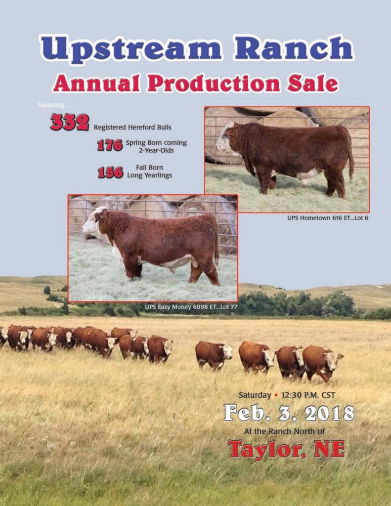 Upstream Ranch - 2018 Bull Sale