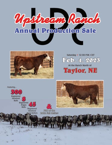 Upstream Ranch - 2023 Spring Bull Sale