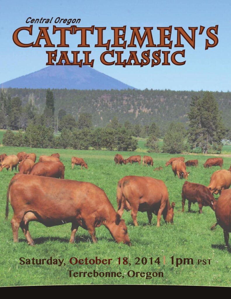 VF Red Angus - 2014 Central Oregon Cattlemens Fall Classic Sale