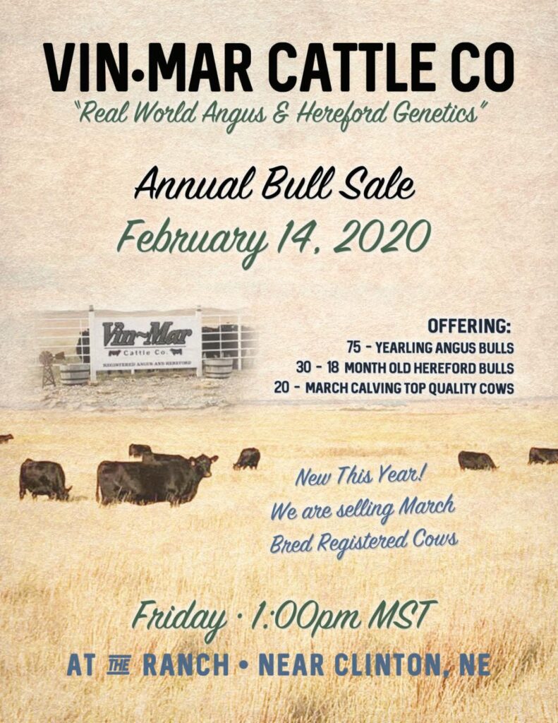 Vin Mar Cattle Company - 2020 Bull Sale