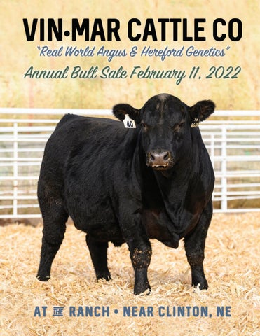 Vin-Mar Cattle Company - 2022 Spring Bull Sale