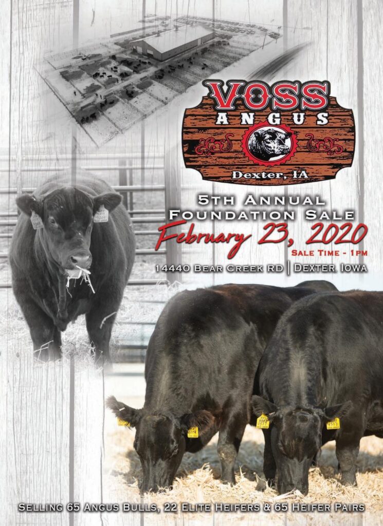 Voss Angus - 2020 Foundation Sale