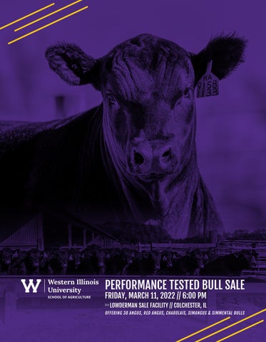 WIU - 2022 Bull Test Sale