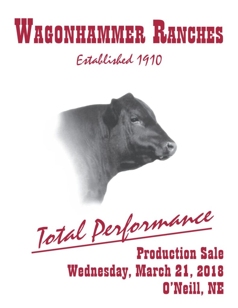 Wagonhammer Cattle Co - 2018 Production Sale