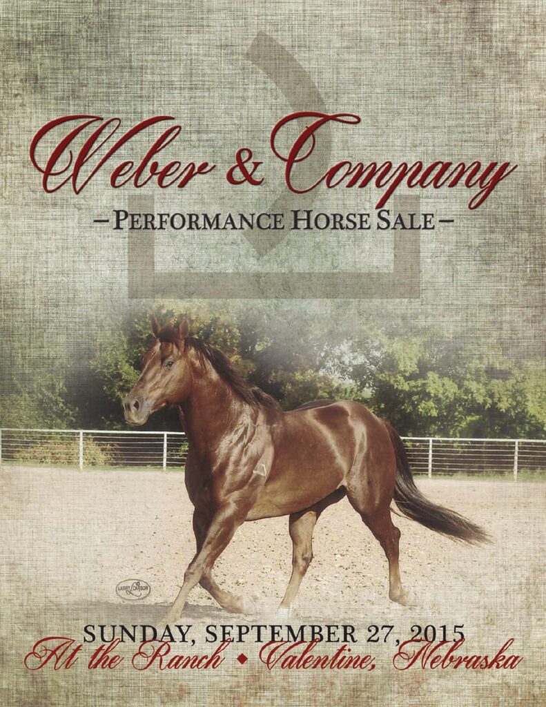 Weber Quarter Horses - 2015 Performance Horse Sale
