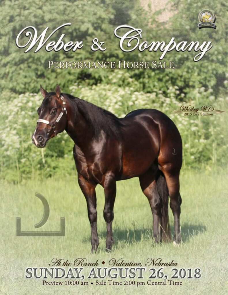 Weber Quarter Horses - 2018 Sale