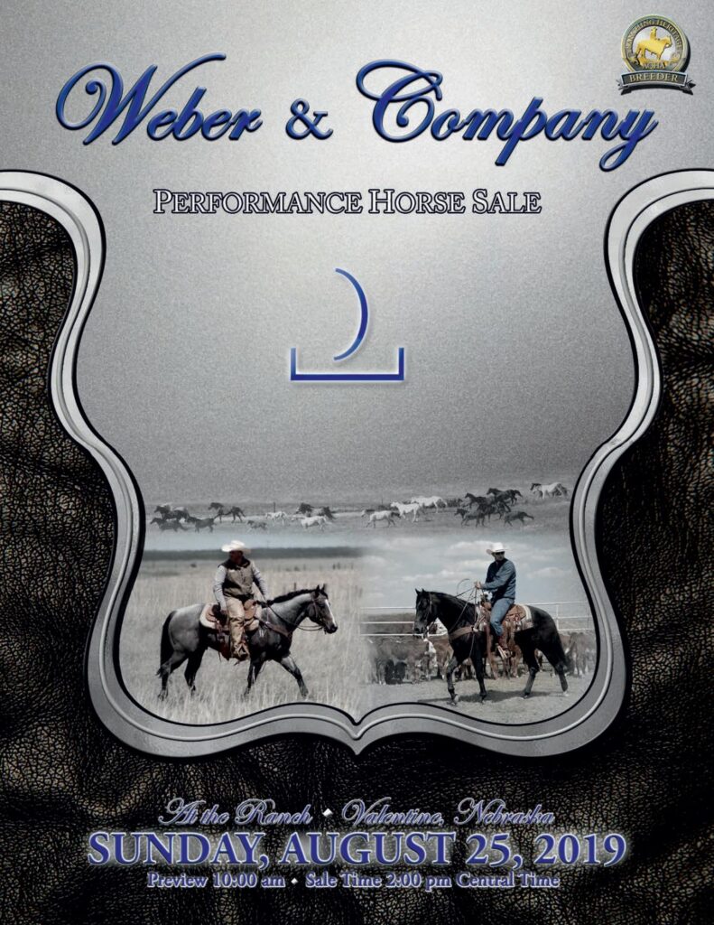 Weber Quarter Horses - 2019 Sale
