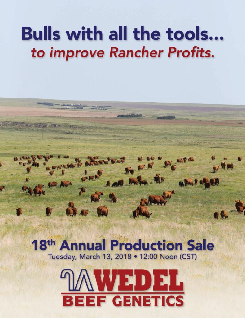 Wedel Beef Genetics - 2018 Annual Production Sale