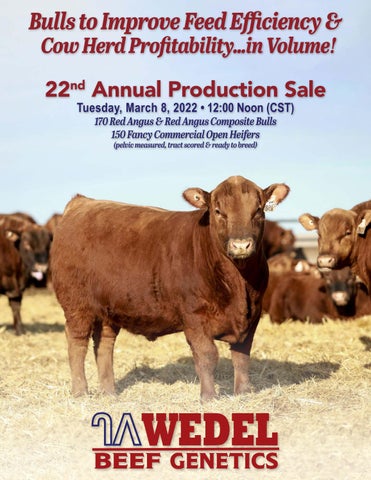 Wedel Beef Genetics - 2022 Sale