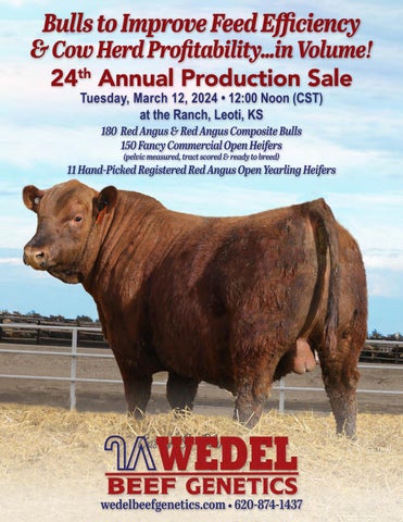 Wedel Beef Genetics 24th Annual Production Sale
