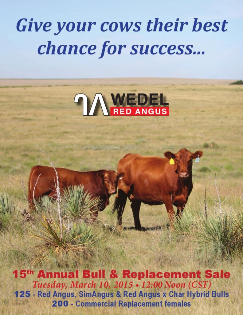 Wedel Red Angus - 15th Annual Bull and Replacement Sale
