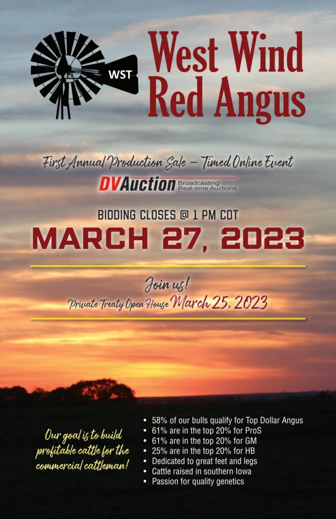 West Wind Red Angus - Spring 2023 Sale