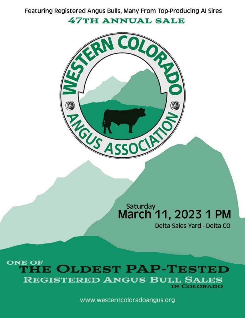 Western Colorado Angus Association - 2023 Spring Sale