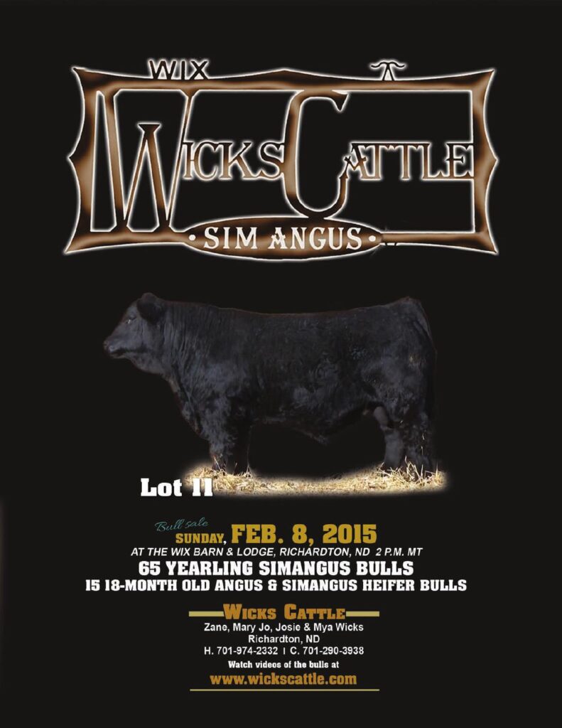 Wicks Cattle - 2015 Bull Sale