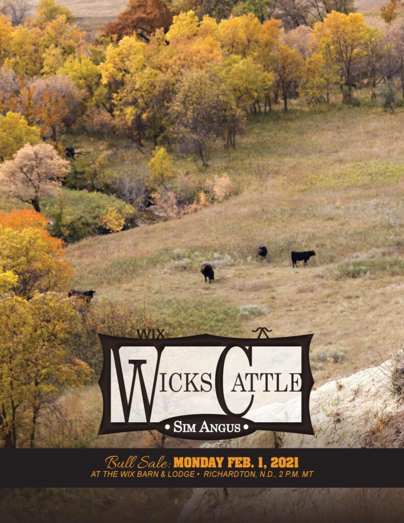 Wicks Cattle - 2021 Spring Bull Sale