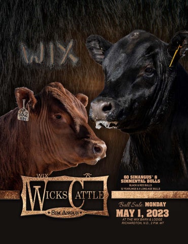 Wicks Cattle - 2023 Spring Bull Sale