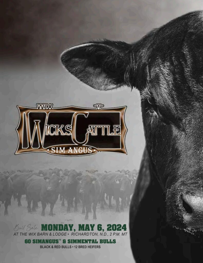 Wicks Cattle Production Sale