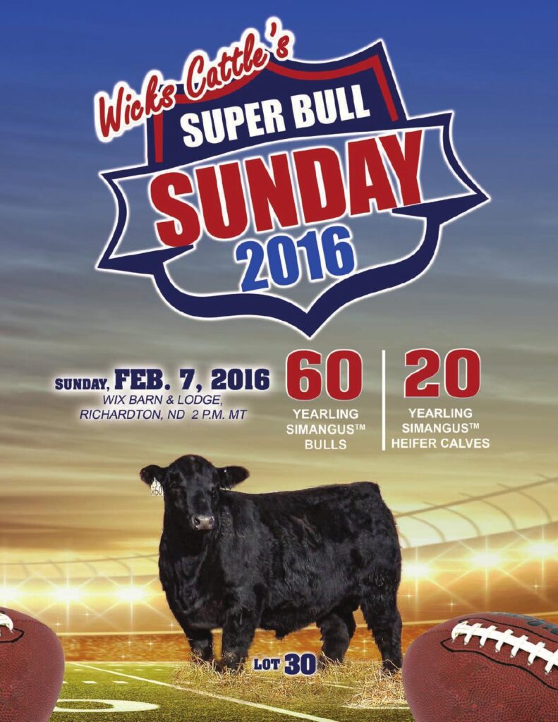 Wicks Cattle - Super Bull Sunday 2016