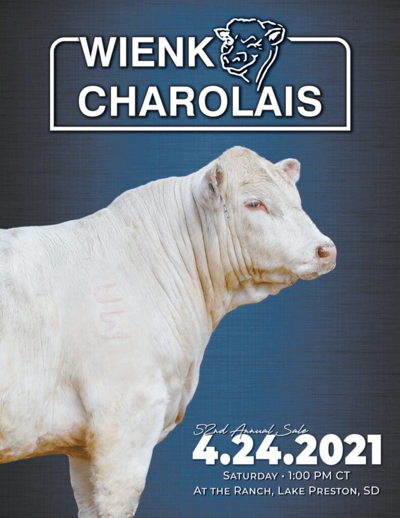 Wienk Charolais - 2021 Spring Bull Sale