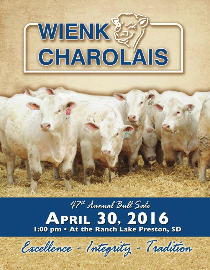 Wienk Charolais - 47th Annual Bull Sale