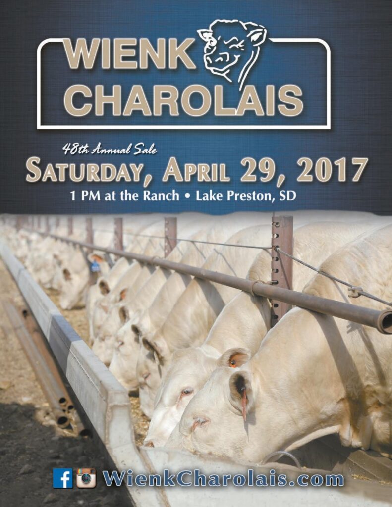 Wienk Charolais - 48th Annual Production Sale