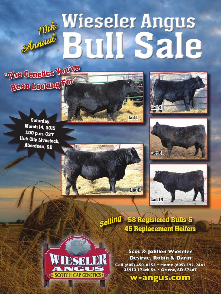 Wieseler Angus - 10th Annual Bull Sale