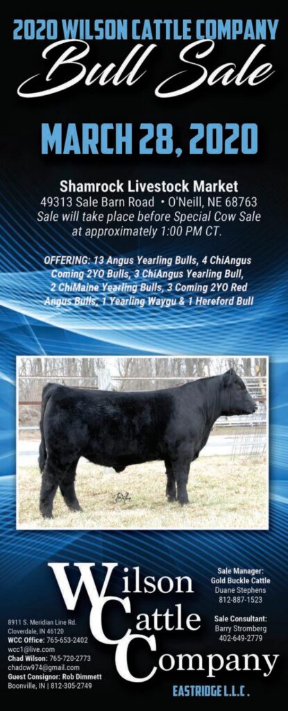 Wilson Cattle Company - 2020 Sale