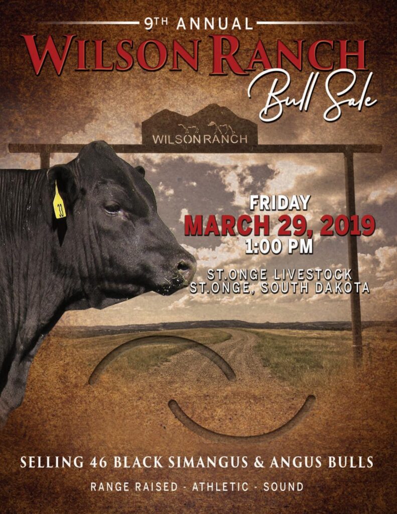 Wilson Ranch - 201 Sale