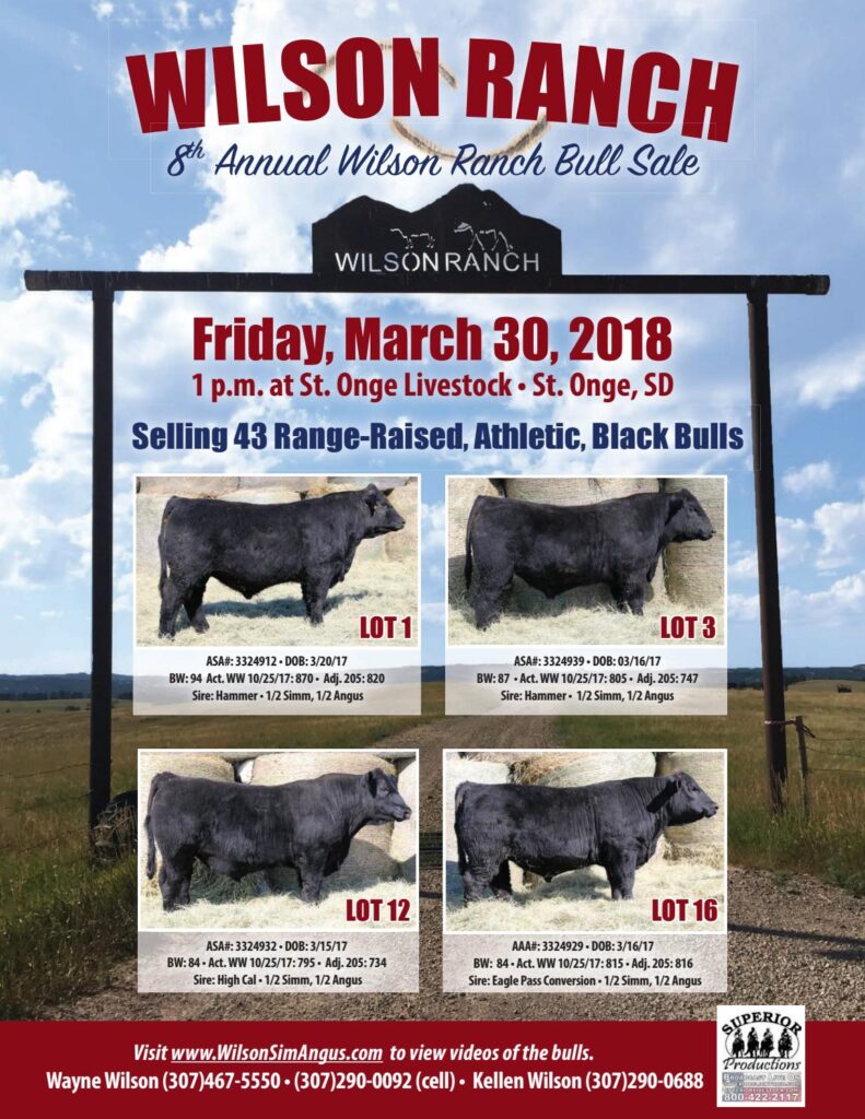 Wilson Ranch - 2018 Bull Sale