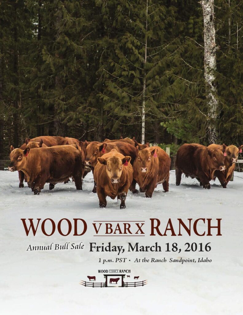 Wood V Bar X Ranch - 2016 Bull Sale