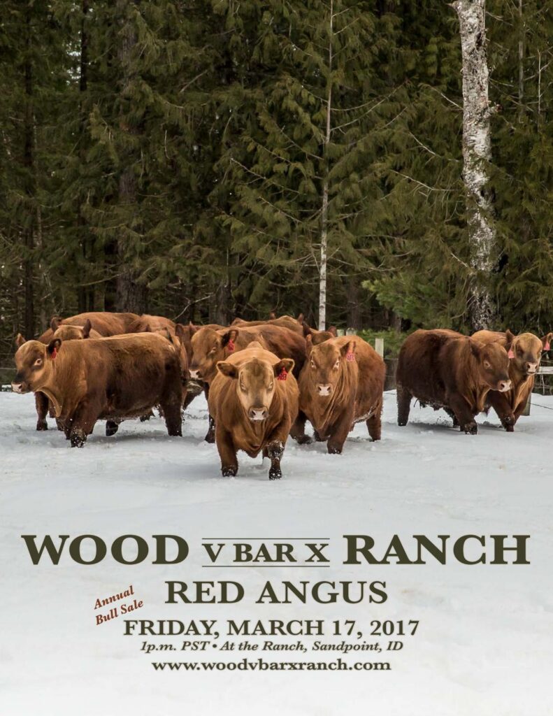 Wood V Bar X Ranch - 2017 Bull Sale