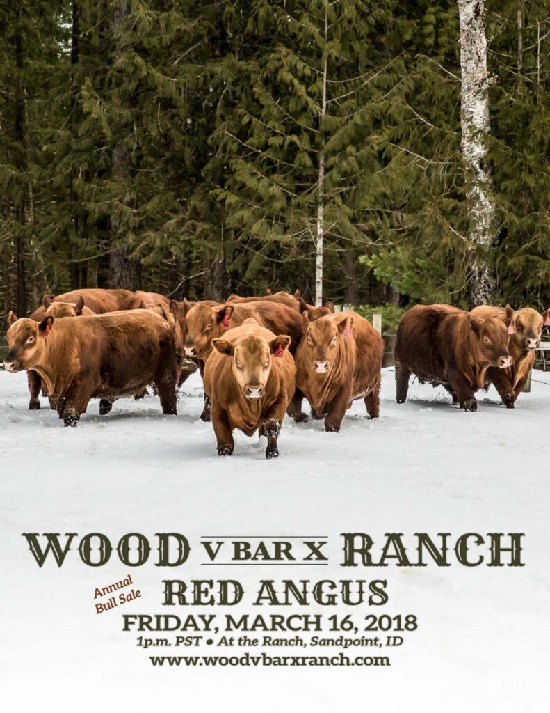 Wood V Bar X Ranch - 2018 Bull Sale