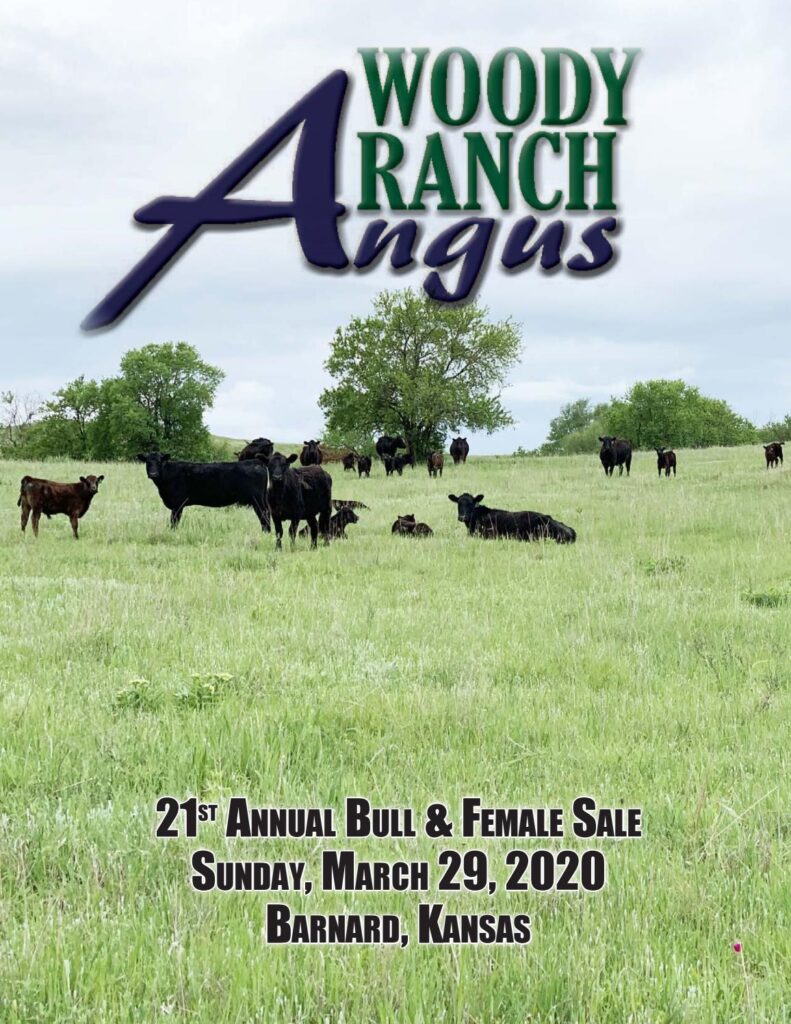Woody Ranch Angus - 2020 Sale