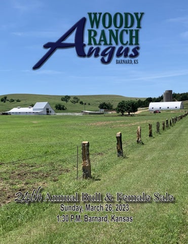 Woody Ranch Angus - 2023 Spring Sale