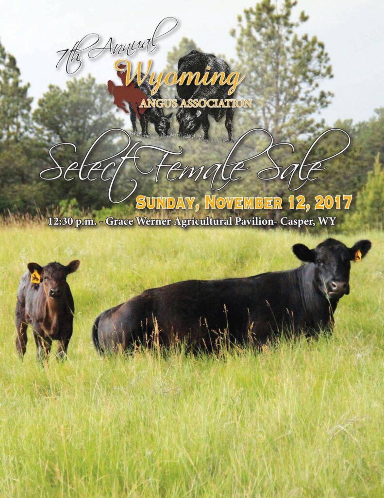 Wyoming Angus Association - 2017 Select Female Sale