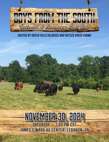 Boys from the South Gelbvieh & Balancer Bull Sale