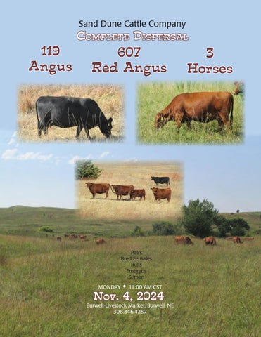 Sand Dune Cattle Company Complete Dispersal Sale