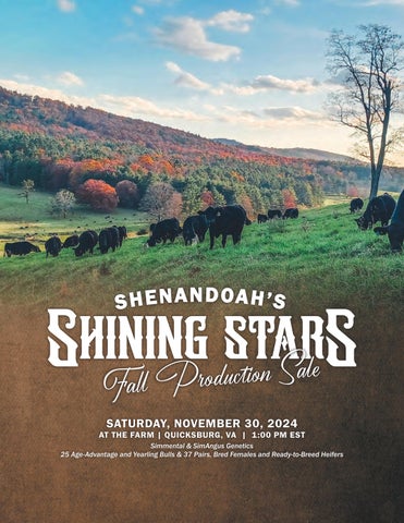 Shenandoah's Shining Stars Fall Production Sale