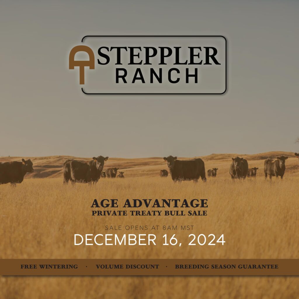 Steppler Ranch Age Advantage Private Treaty Bull Sale