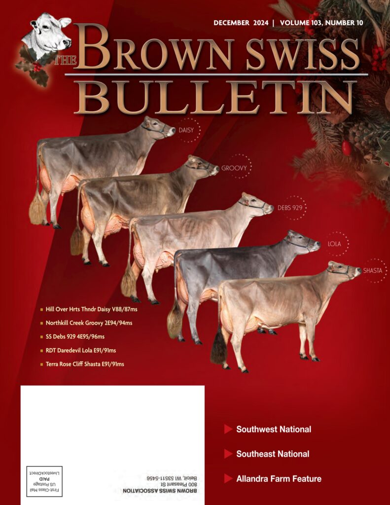 Brown Swiss Bulletin