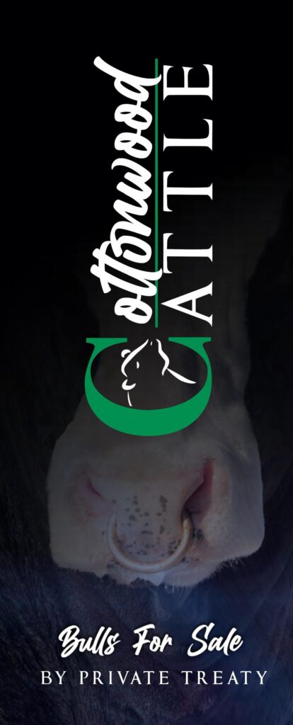 Cottonwood Cattle - 2025 Spring Sale Catalog