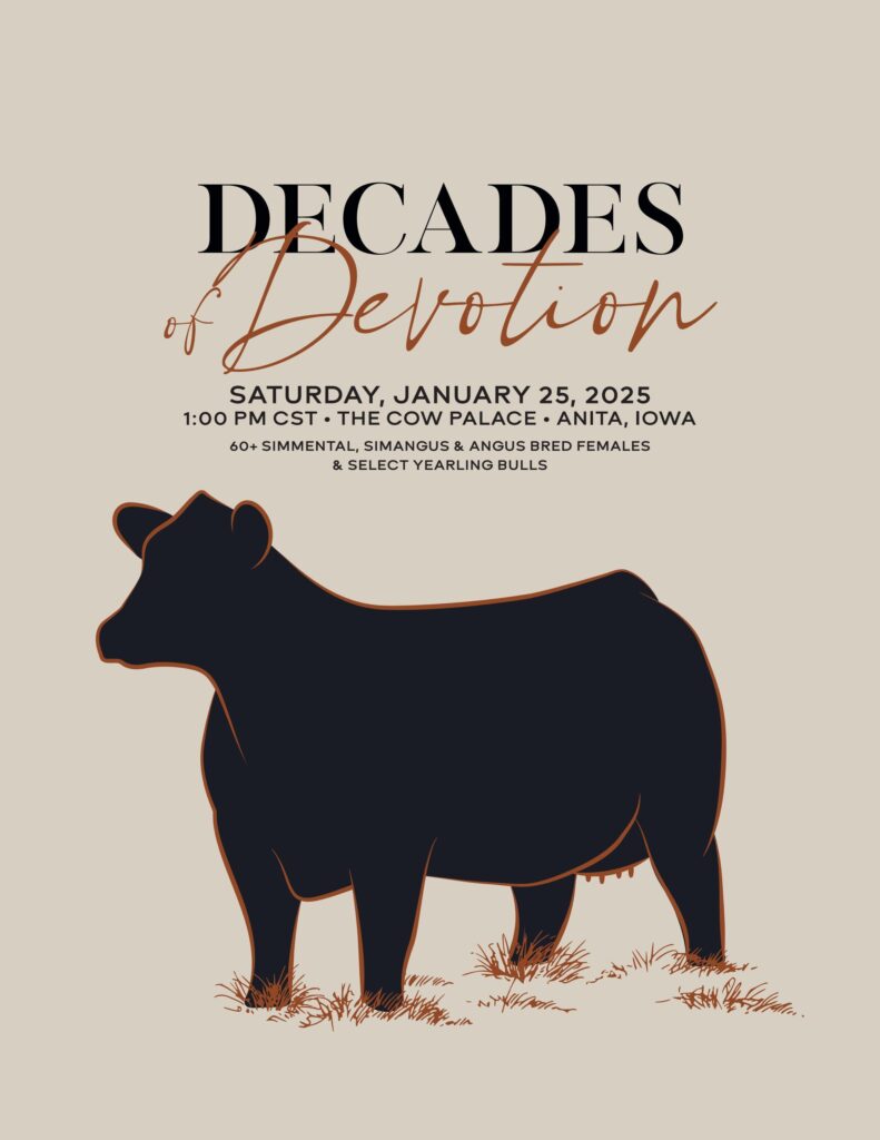 Decade of Devotion Production Sale