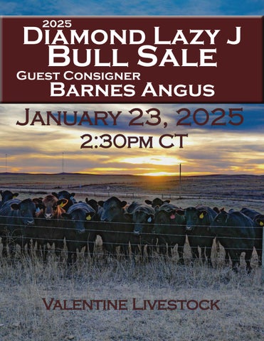 Diamond Lazy J Bull Sale
