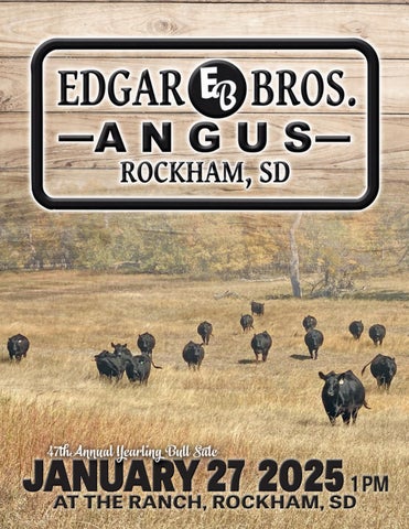 Edgar Bros Angus 47th Annual Yearling Bull Sale