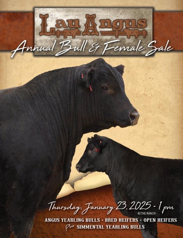 Lau Angus Annual Bull & Female Sale