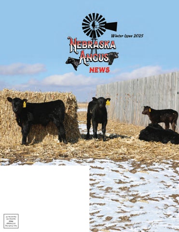 Nebraska Angus News Winter Issue 2025
