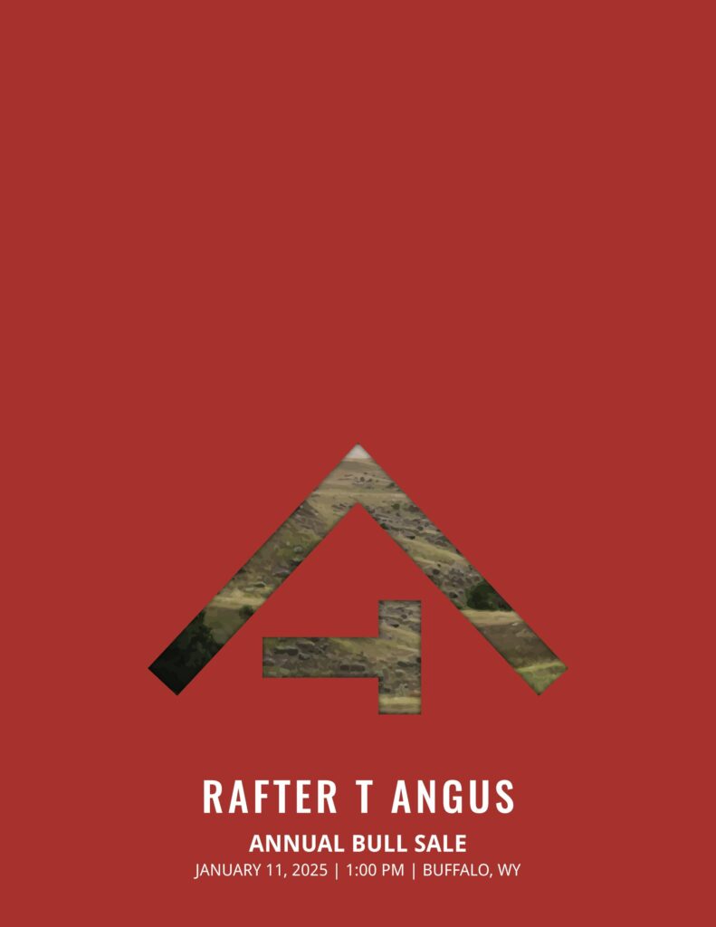 Rafter T Angus Annual Bull Sale