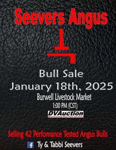 Seevers Angus Bull Sale