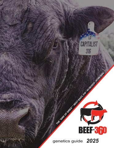 BEEF-360 Genetics Guide
