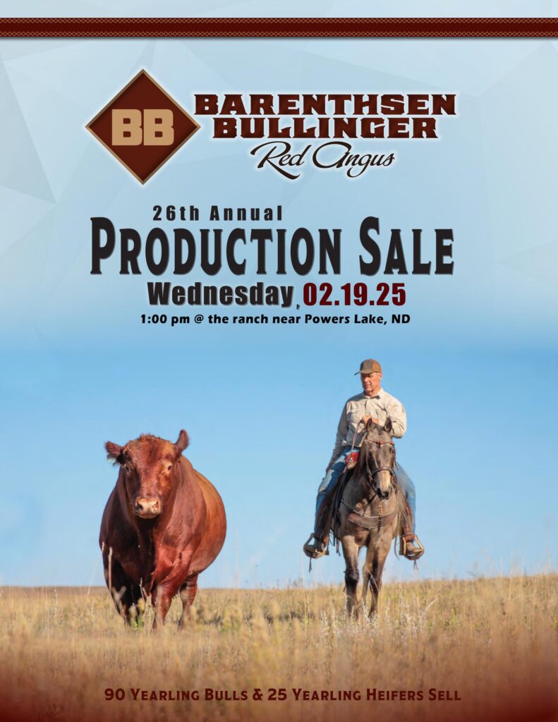 Barenthsen-Bullinger Red Angus 26th Annual Production Sale